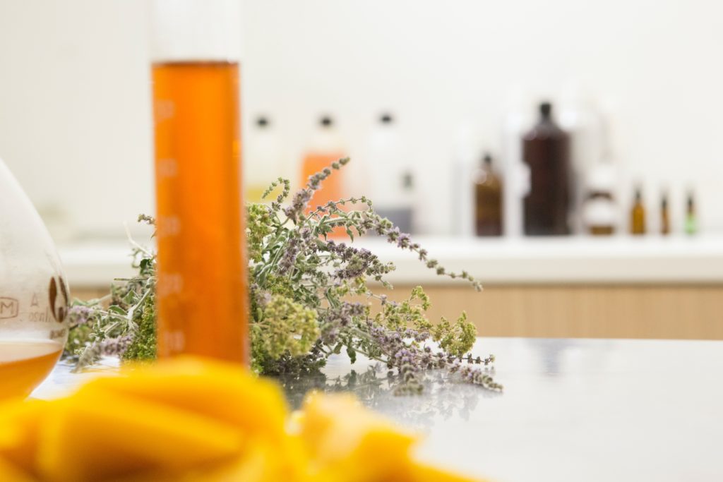 Plantas aromáticas junto a matraces de laboratorio, sobre una mesa de trabajo