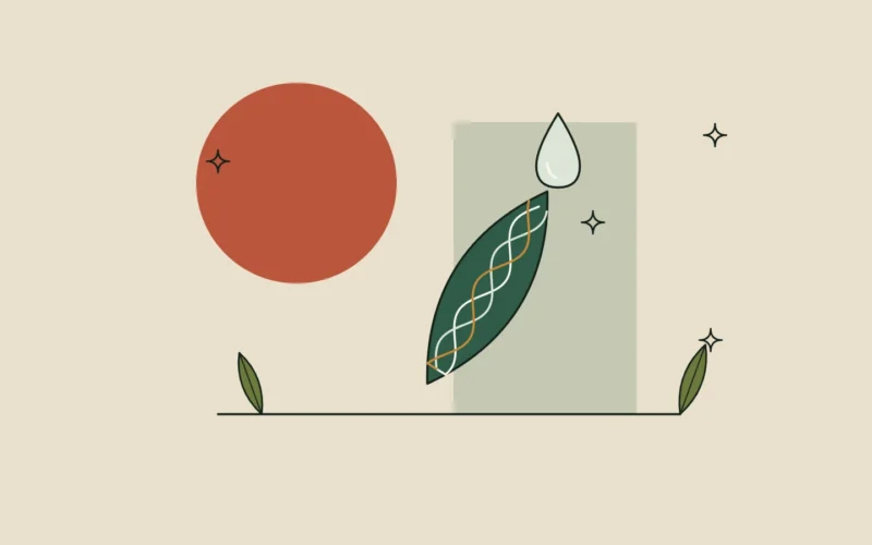 Ilustración de una hoja con una gota de sérum y una hélice de tres hebras sobre fondo arena