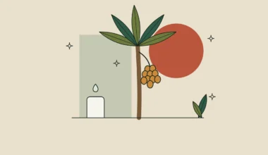 Ilustración de una palmera con un racimo de frutos de licuri sobre fondo arena.