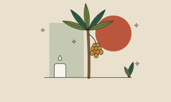 Ilustración de una palmera con un racimo de frutos de licuri sobre fondo arena.