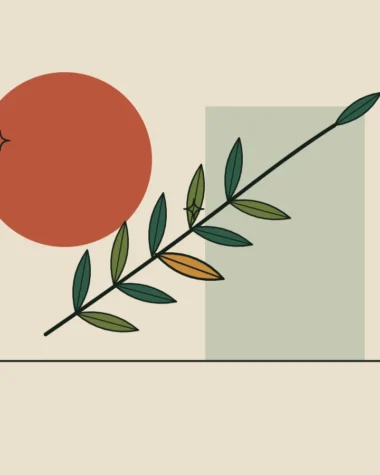 Ilustración de una rama de laurel con una hoja destacada