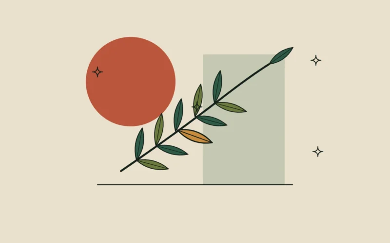 Ilustración de una rama de laurel con una hoja destacada