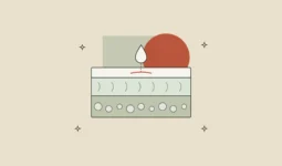 Corte de piel en tres capas con una gota de crema que solo alcanza la capa superior