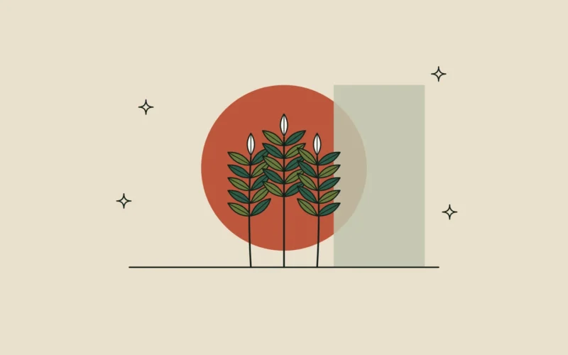Ilustración de tres espigas de trigo con hojas verdes sobre un círculo terracota, en referencia al extracto de trigo con fitoceramidas.
