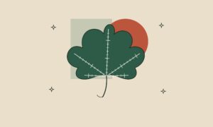 Ilustración de una hoja de vid cuyas nervaduras forman una escala de medición.