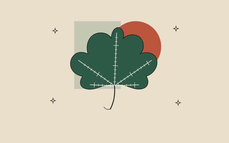 Ilustración de una hoja de vid cuyas nervaduras forman una escala de medición.