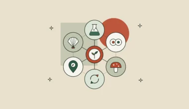 Seis iconos conectados a un brote central: biotecnología, células, adaptógenos, reciclaje, origen local y mar.