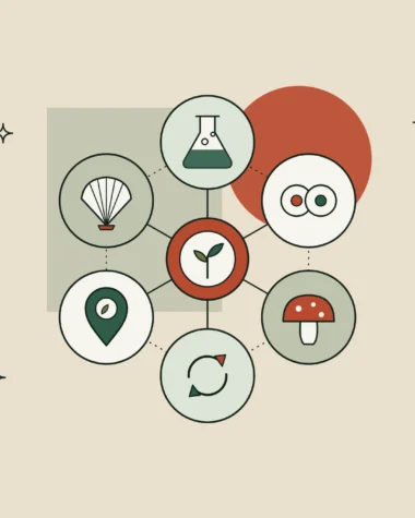 Seis iconos conectados a un brote central: biotecnología, células, adaptógenos, reciclaje, origen local y mar.