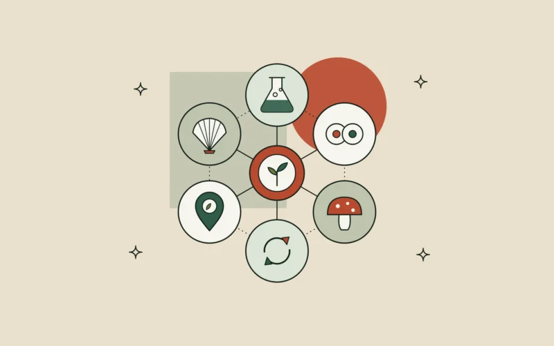 Seis iconos conectados a un brote central: biotecnología, células, adaptógenos, reciclaje, origen local y mar.