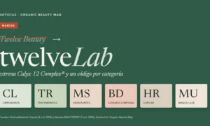 Gráfico tipográfico sobre fondo verde: el nombre Twelve Beauty tachado y twelveLab en grande, con seis fichas de códigos de categoría CL, TR, MS, BD, HR y MU